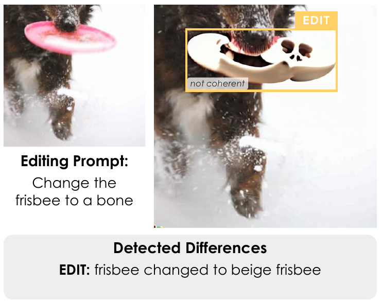 DICE Difference Detection Example 22