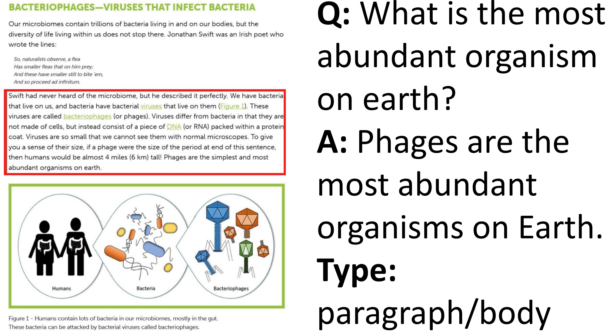 VisualMRC qualitative example 3.