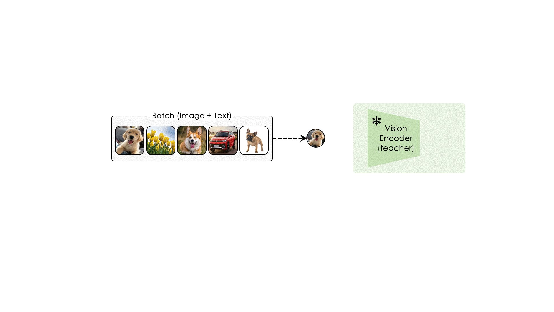 Per-head MKNN alignment animation.