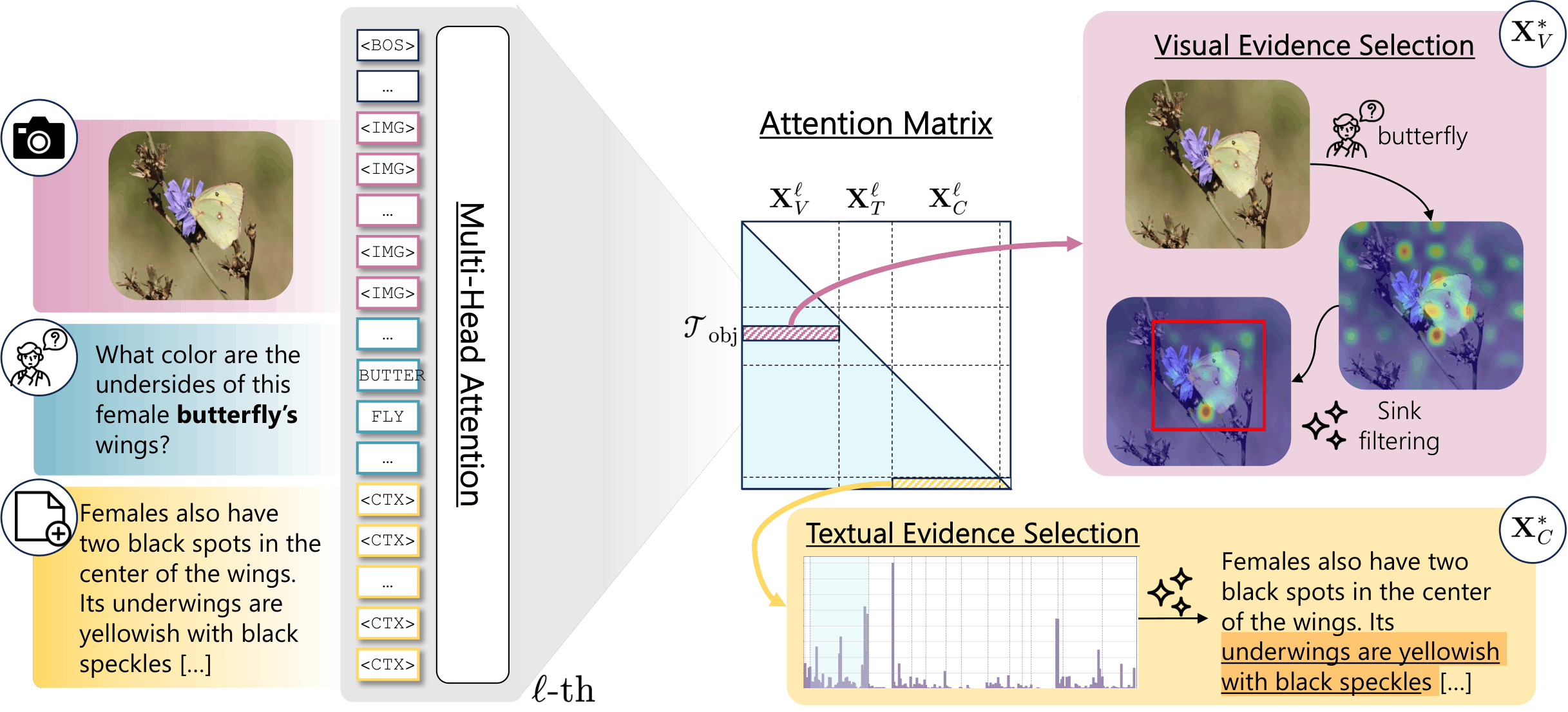 Overview of the LoT pipeline