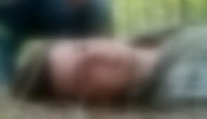 Text-to-video example C at alpha zero